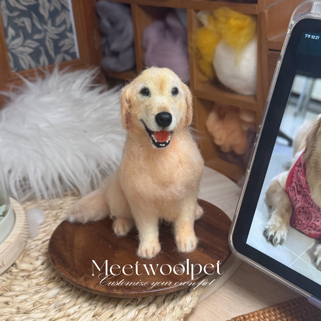 Mini Wool Felt Portrait｜迷你寵物羊毛氈全身訂製（50％訂金）｜香港女生的羊毛氈小店