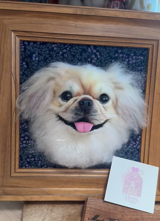 Big Wool Felt Head Wood Frame｜仿真度極高寵物頭相框款訂製（50％訂金)｜香港女生的羊毛氈小店