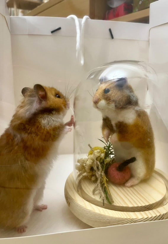 Syrian Hamster Wool Felt Portrait｜寵物客製化熊仔鼠｜仿真擬真熊仔鼠包玻璃罩羊毛氈訂製｜寵物紀念（50％訂金）｜香港女生的羊毛氈小店