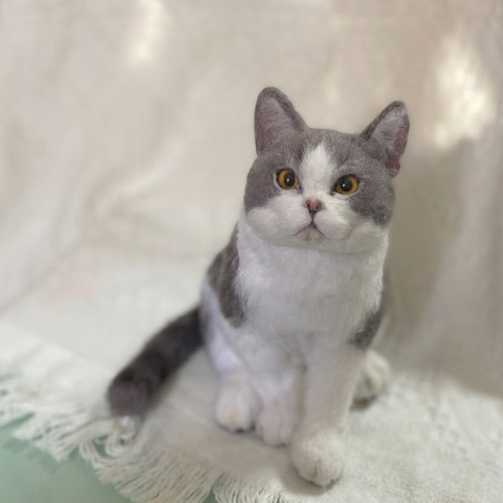 Big Wool Felt Portrait｜寵物羊毛氈全身訂製（50％訂金）｜香港女生的羊毛氈小店