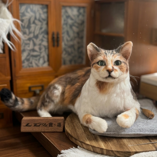 Big Wool Felt Portrait｜寵物羊毛氈全身訂製（50％訂金）｜香港女生的羊毛氈小店