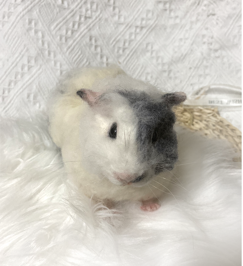 Guinea Pig Wool Felt Portrait｜寵物客製化天竺鼠｜仿真擬真天竺鼠包玻璃罩羊毛氈訂製｜寵物紀念（50％訂金）｜香港女生的羊毛氈小店