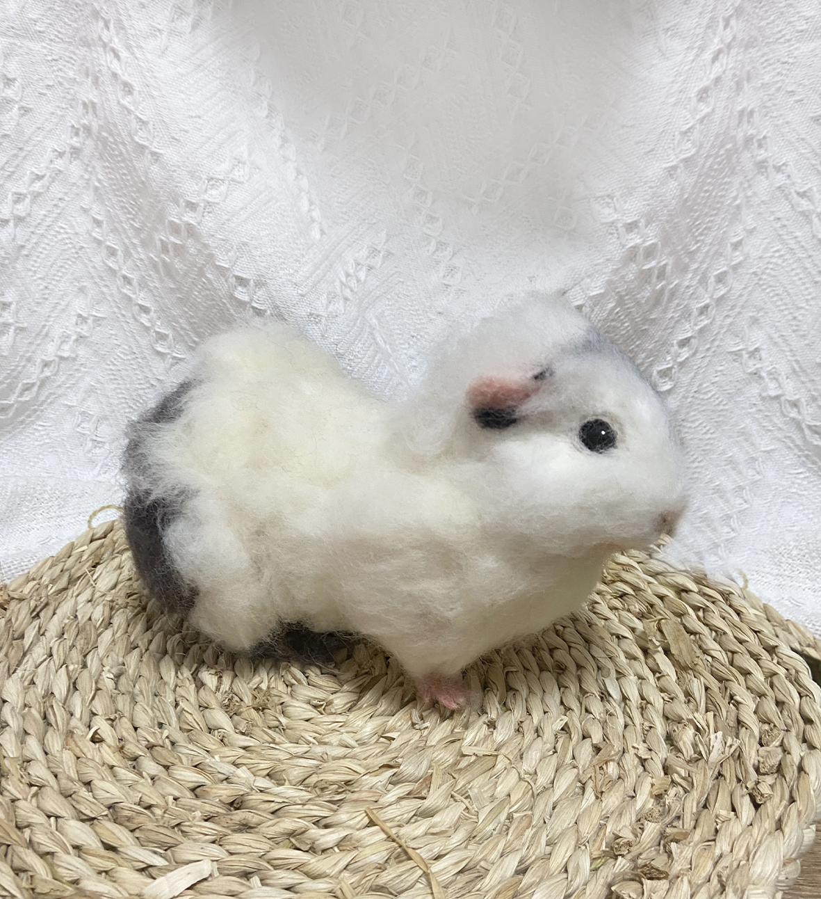 Guinea Pig Wool Felt Portrait｜寵物客製化天竺鼠｜仿真擬真天竺鼠包玻璃罩羊毛氈訂製｜寵物紀念（50％訂金）｜香港女生的羊毛氈小店